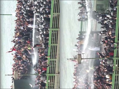 The Insistence of Struggle