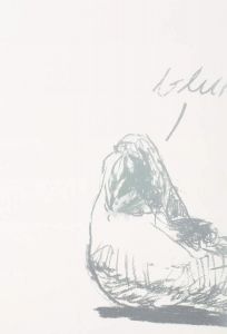  Musa paradisiaca - Views on Misunderstanding