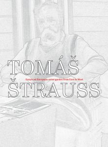 Tomáš Štrauss - Beyond the Great Divide - Essays on European avant gardes from East to West