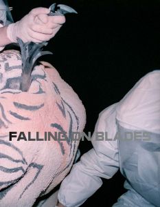 Mihai Barabancea - Falling on Blades