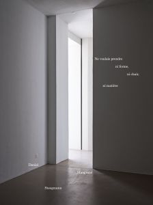 Daniel Steegmann Mangrané - Ne voulais prendre, ni forme, ni chair, ni matière