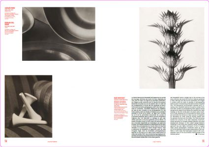 Masterworks of Modern Photography from MoMA