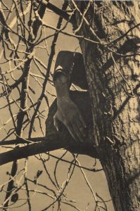 Adrián Villar Rojas - From The Series Brick Farm