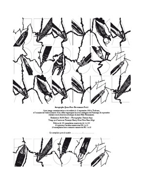 Printemps de septembre à Toulouse