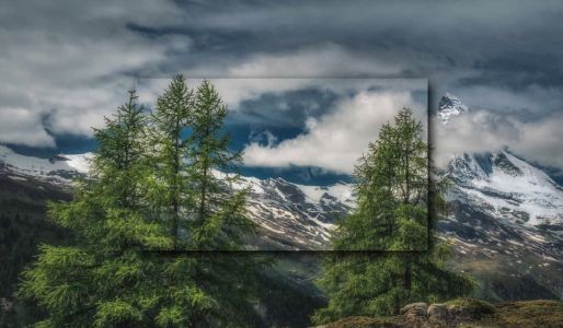 The Reconfigured Nature