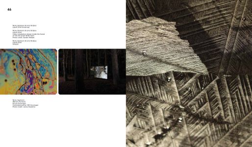 The Reconfigured Nature