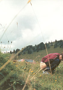 Piss down my back and tell me it's raining