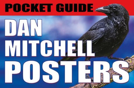 Dan Mitchell - Posters Flyers