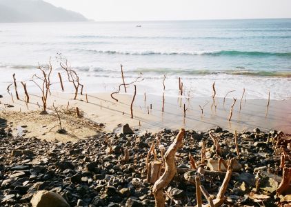 The 165-metre Mermaid and Other Stories