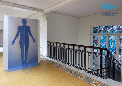 The 165-metre Mermaid and Other Stories