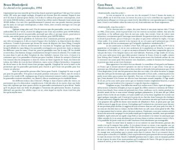 <em>A Staged Exhibition</em> (interview booklet + libretto)