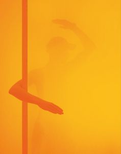 Armin Lorenz Gerold - Manuel