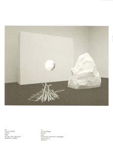 Cosmic Wonder Free Press