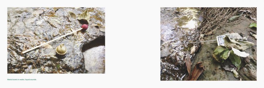 Breathing Spirit Forms (CD + book)