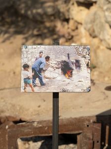 Nida Sinnokrot - Palestine Is Not a Garden