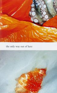 Nouria Behloul - Poetry is the only way out of here