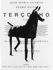 João Maria Gusmão - Terçolho