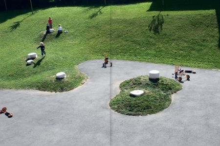 Rhizome Cupules Eclosion