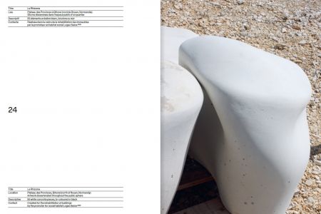 Rhizome Cupules Eclosion