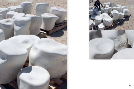 Rhizome Cupules Eclosion