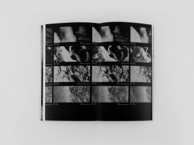 Gaia (book + vinyl LP)