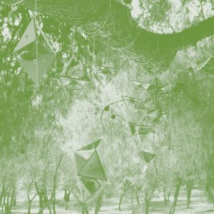 Steve Roden - Oionos (livre + CD)