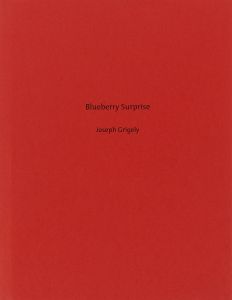 Joseph Grigely - Blueberry Surprise