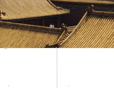 Lady in the Portrait (book + Blu-Ray + DVD)