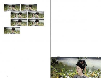 Lady in the Portrait (book + Blu-Ray + DVD)