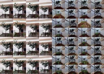 Nurturing Exhibitions (book + 2 CD)