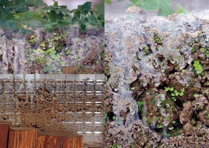 Nurturing Exhibitions (book + 2 CD)