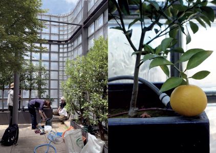 Nurturing Exhibitions (book + 2 CD)