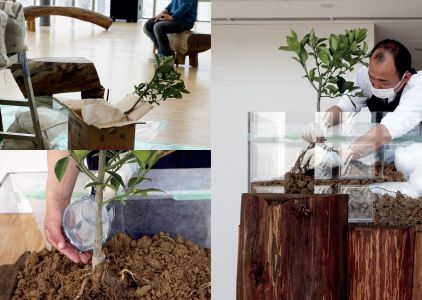 Nurturing Exhibitions (book + 2 CD)