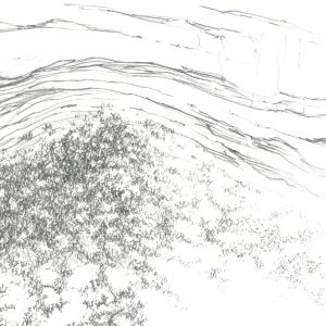  Omnimal - Fielding (vinyl LP)