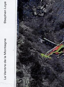 Stephen Loye - Le Ventre de la Montagne
