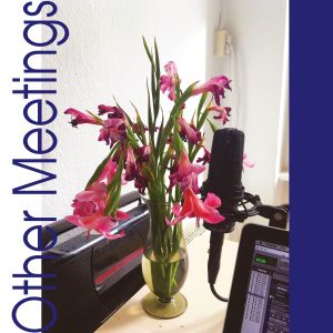 Crys Cole - Other Meetings (vinyl LP)