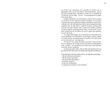 Flore des friches urbaines