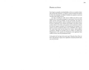 Flore des friches urbaines