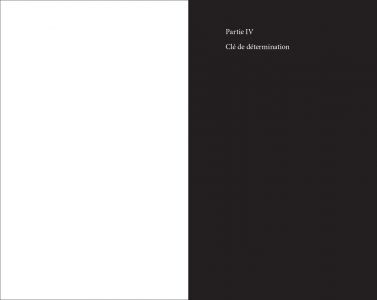 Flore des friches urbaines