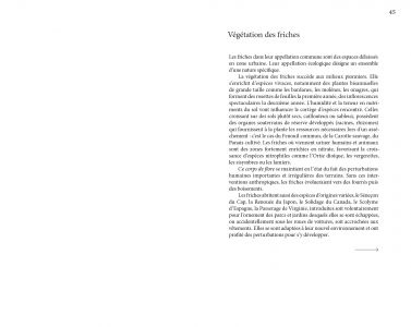 Flore des friches urbaines