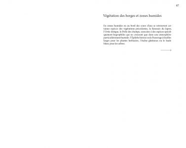 Flore des friches urbaines