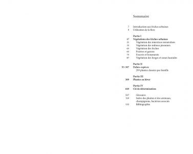 Flore des friches urbaines