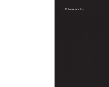 Flore des friches urbaines