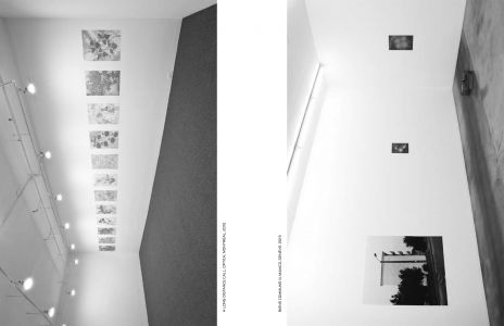 Dans l'espace : poussières, points, trames et chatoiements