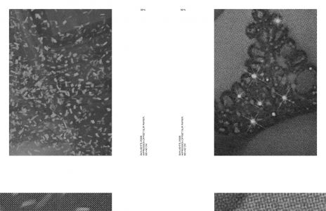 Dans l'espace : poussières, points, trames et chatoiements