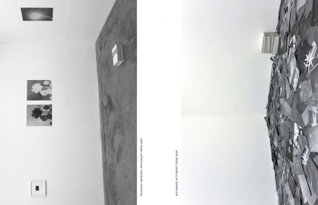 Dans l'espace : poussières, points, trames et chatoiements