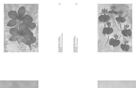 Dans l'espace : poussières, points, trames et chatoiements