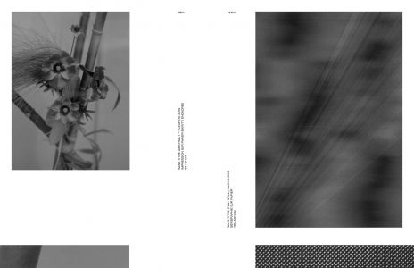 Dans l'espace : poussières, points, trames et chatoiements