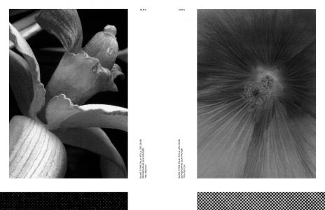 Dans l'espace : poussières, points, trames et chatoiements