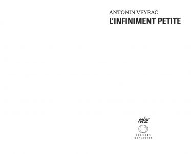 L'infiniment petite